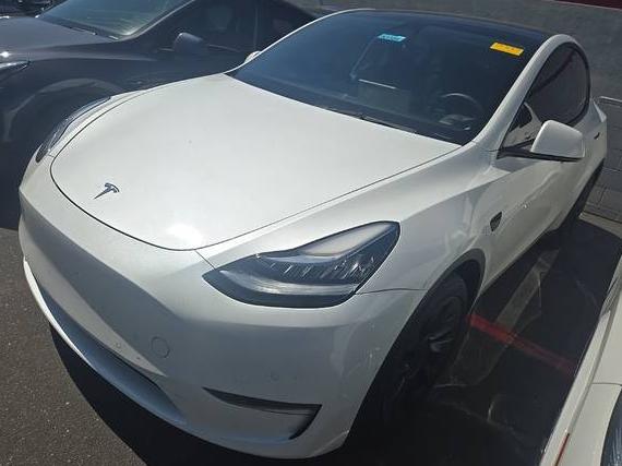 TESLA MODEL Y 2022 7SAYGDEE6NF356250 image